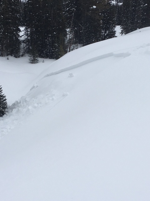 Small snowmobile triggered slide Cabin Creek - 2/20/16